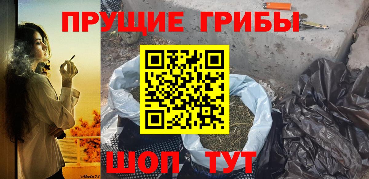 Псилоцибиновые грибы MAGIC MUSHROOMS  Вход с VPN  Братск 