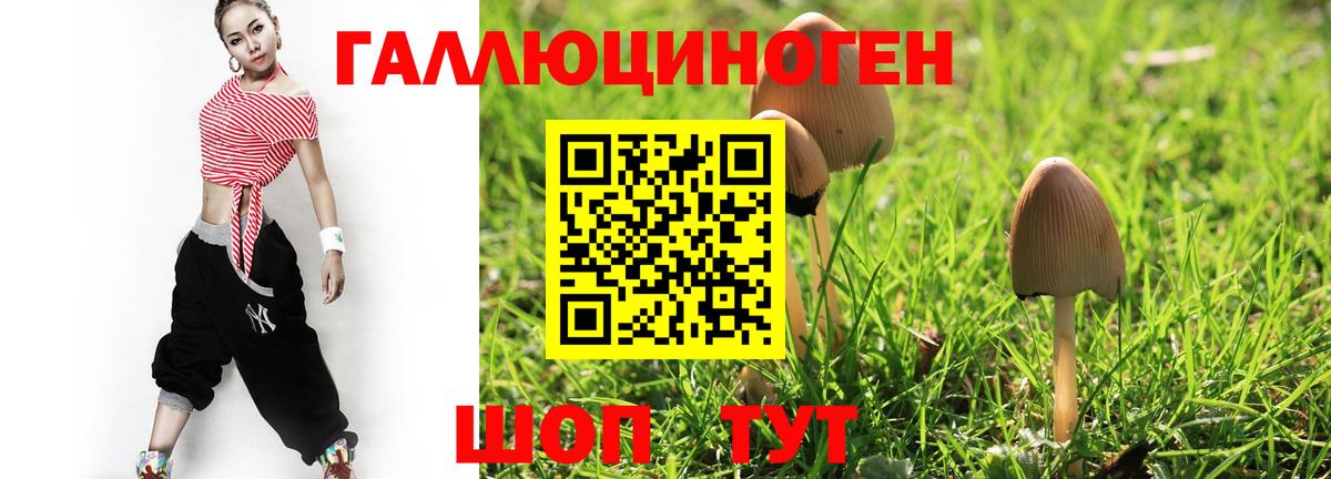 Галлюциногенные грибы мухоморы Братск